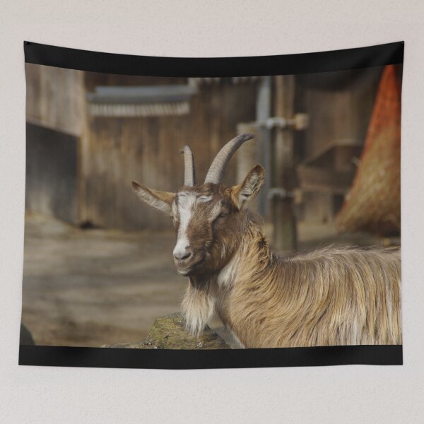 Item preview, Goat farm - Funny goat designed and sold by animal-animal.