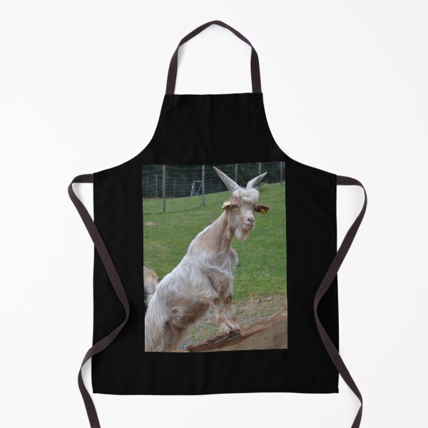 Aperçu de l'œuvre Goat farm - Funny goat - white goat créée et vendue par animal-animal.
