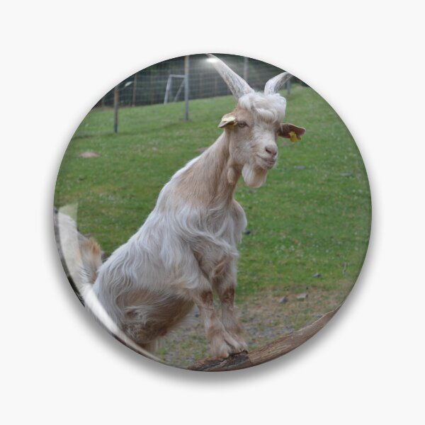 Artikelvorschau, Goat farm - Funny goat - white goat entworfen und verkauft von animal-animal.