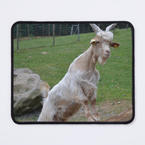 Item preview, Goat farm - Funny goat - white goat designed and sold by animal-animal.