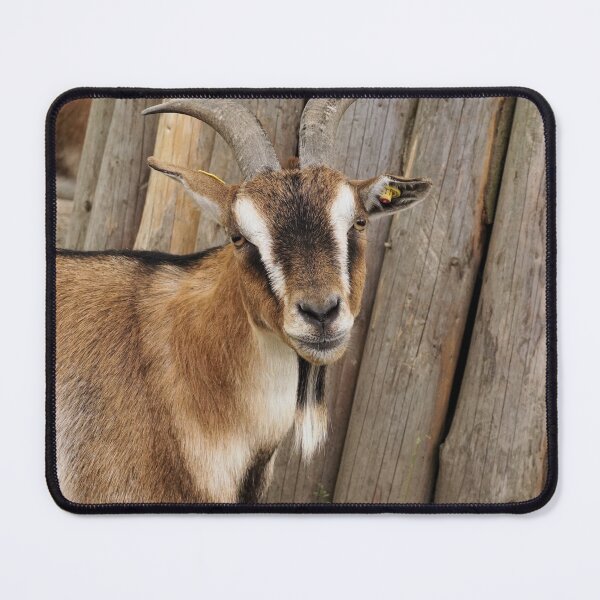 Artikelvorschau, Goat farm - Funny goat entworfen und verkauft von animal-animal.