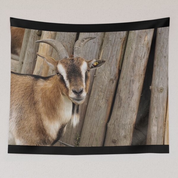 Item preview, Goat farm - Funny goat designed and sold by animal-animal.