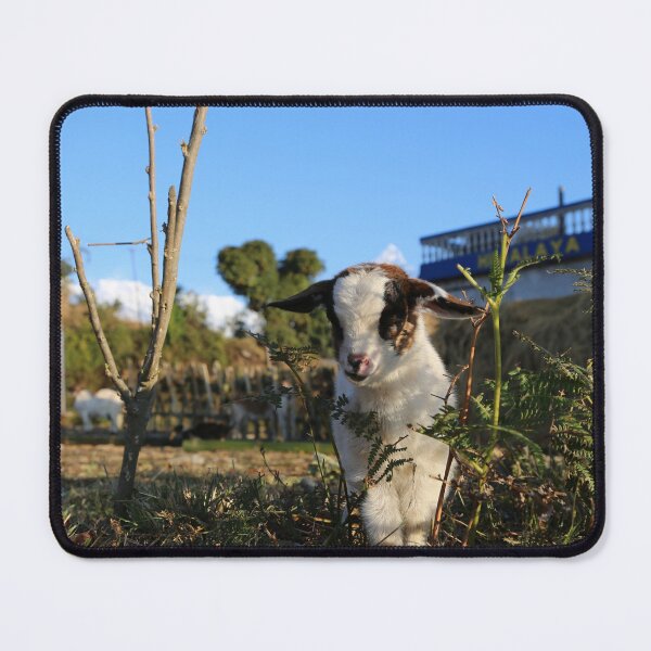 Artikelvorschau, Goat farm - cute goat - white goat entworfen und verkauft von animal-animal.