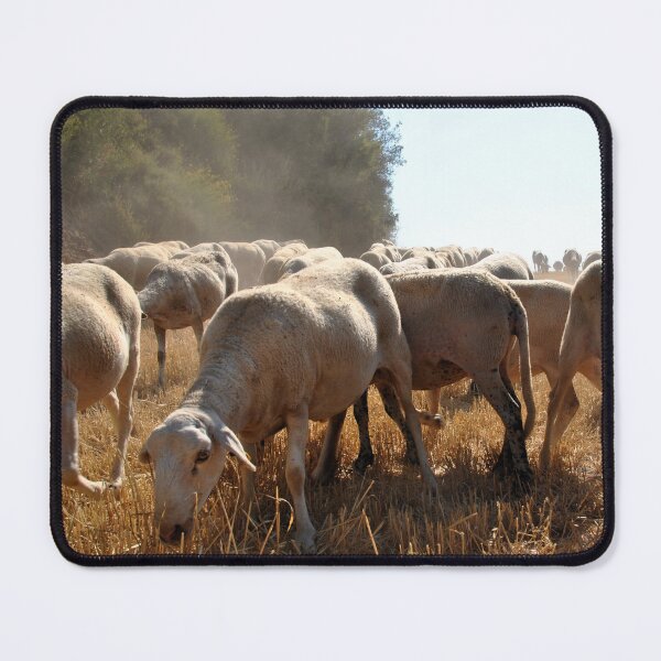 Artikelvorschau, Goat farm - Funny goat - white goat entworfen und verkauft von animal-animal.