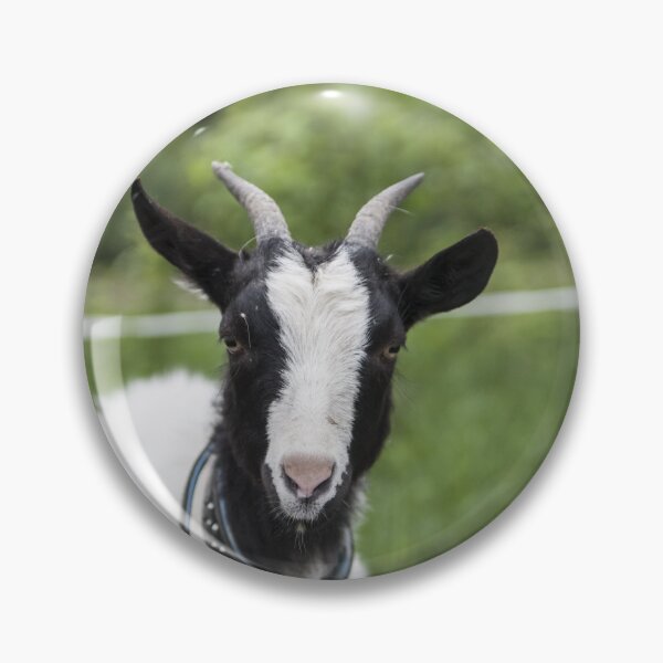 Artikelvorschau, Goat farm - Funny goat - white goat entworfen und verkauft von animal-animal.