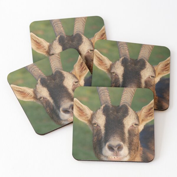 Item preview, Goat farm - Funny goat  designed and sold by animal-animal.