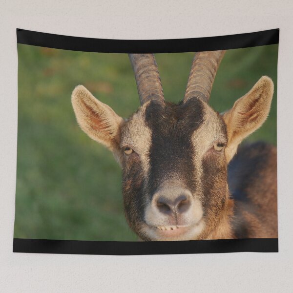 Item preview, Goat farm - Funny goat  designed and sold by animal-animal.
