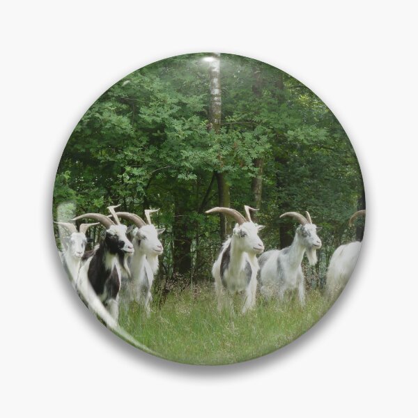 Artikelvorschau, Goat farm - Funny goat - white goat entworfen und verkauft von animal-animal.