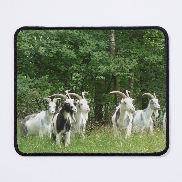 Item preview, Goat farm - Funny goat - white goat designed and sold by animal-animal.