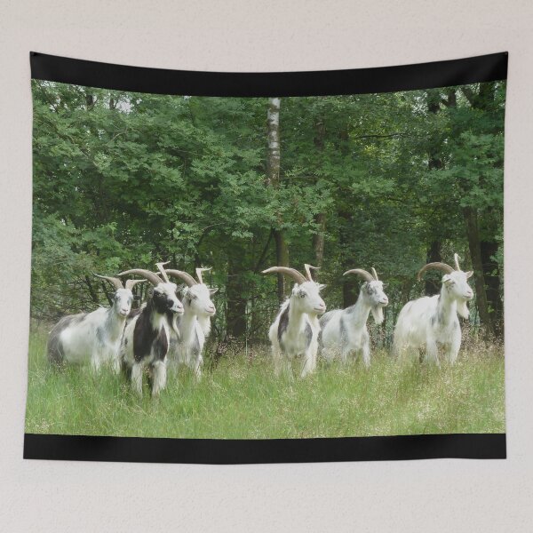 Aperçu de l'œuvre Goat farm - Funny goat - white goat créée et vendue par animal-animal.