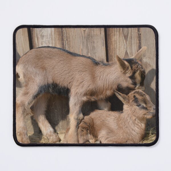 Item preview, Goat farm - Funny goat designed and sold by animal-animal.