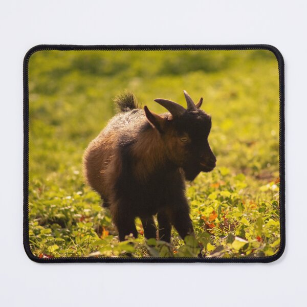 Item preview, Goat farm - Funny goat - black goat designed and sold by animal-animal.
