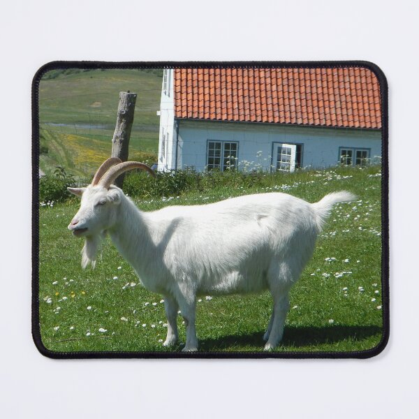 Item preview, Goat farm - Funny goat - white goat designed and sold by animal-animal.