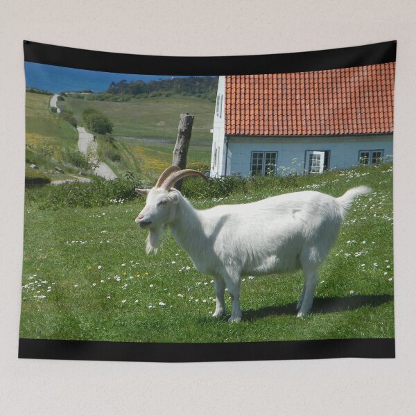 Aperçu de l'œuvre Goat farm - Funny goat - white goat créée et vendue par animal-animal.