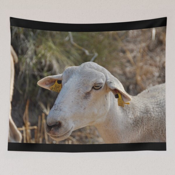 Aperçu de l'œuvre Goat farm - Funny goat - white goat créée et vendue par animal-animal.