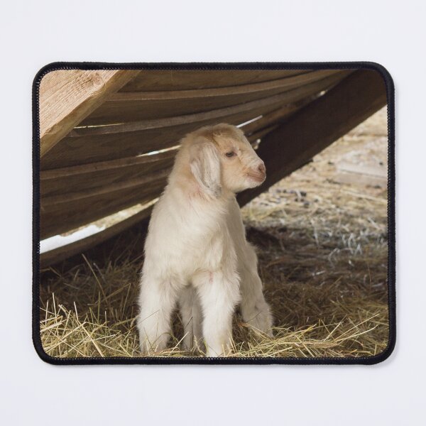 Artikelvorschau, Goat farm - Funny goat - white goat entworfen und verkauft von animal-animal.