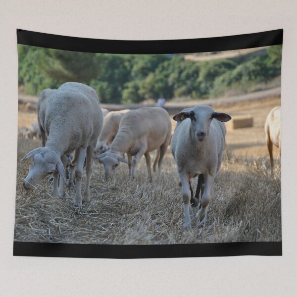 Aperçu de l'œuvre Goat farm - Funny goat - white goat créée et vendue par animal-animal.