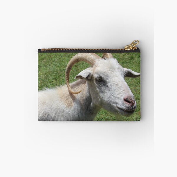 Aperçu de l'œuvre Goat farm - Funny goat - white goat créée et vendue par animal-animal.