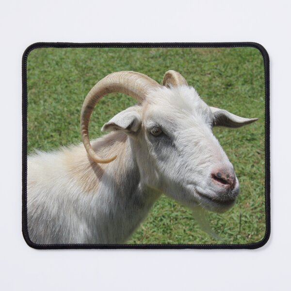 Artikelvorschau, Goat farm - Funny goat - white goat entworfen und verkauft von animal-animal.