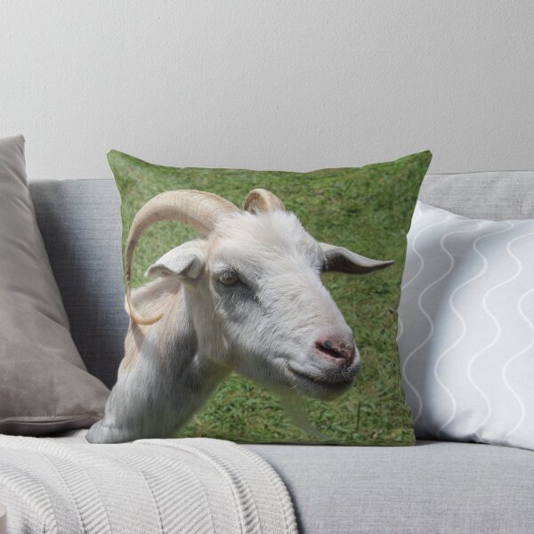 Item preview, Goat farm - Funny goat - white goat designed and sold by animal-animal.