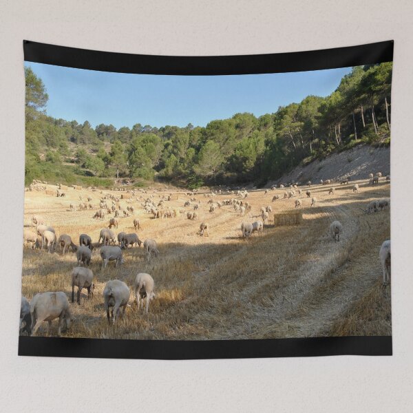 Aperçu de l'œuvre Goat farm - Funny goat - white goat créée et vendue par animal-animal.