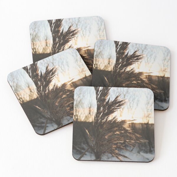 Item preview, Nature detail, sunset lught designed and sold by igvee.