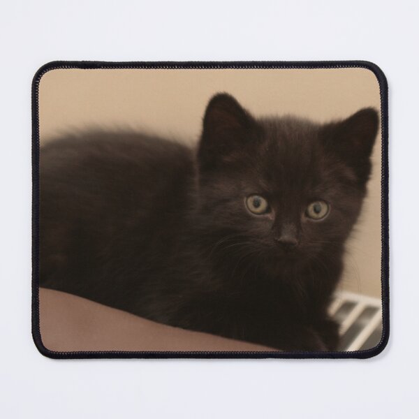 Item preview, Nero on the radiator. designed and sold by StelleryART.