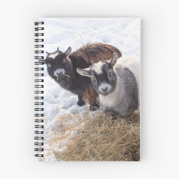 Item preview, Goat farm - Funny goat - pygmy goat designed and sold by animal-animal.
