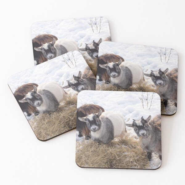 Item preview, Goat farm - Funny goat - pygmy goat designed and sold by animal-animal.