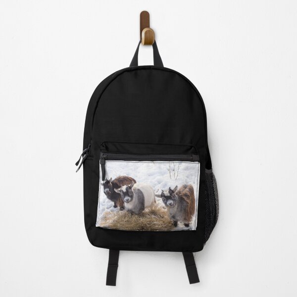 Artikelvorschau, Goat farm - Funny goat - pygmy goat entworfen und verkauft von animal-animal.