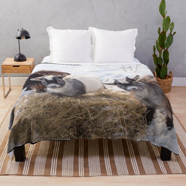 Item preview, Goat farm - Funny goat - pygmy goat designed and sold by animal-animal.