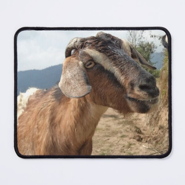 Artikelvorschau, Goat farm - Funny goat - white goat entworfen und verkauft von animal-animal.