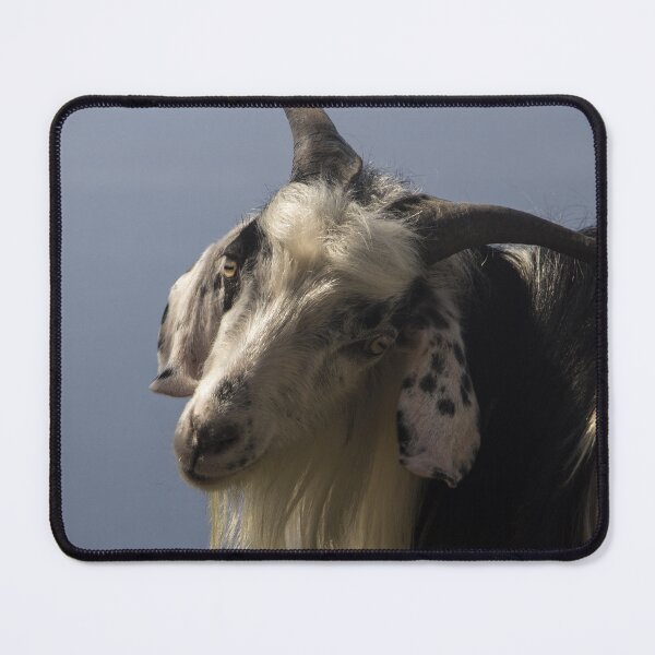 Item preview, Goat farm - Funny goat designed and sold by animal-animal.