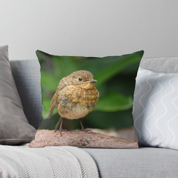 Item preview,  A Close-up of a Charming Baby Robin designed and sold by rawshutterbug.