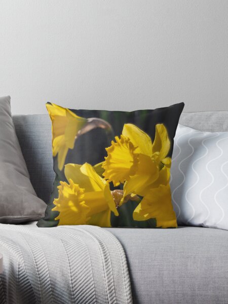 Item preview, Daffodils designed and sold by Cotswolds Photographer.