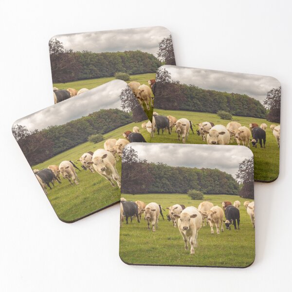 Item preview, Cow Mission designed and sold by Cotswolds Photographer.