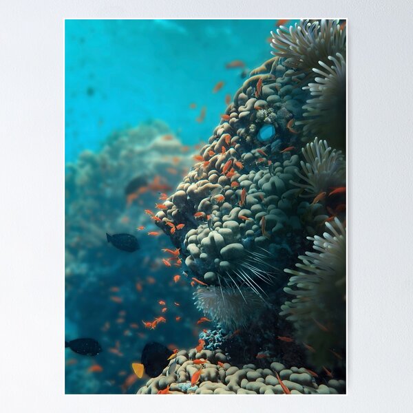 Lion Shaped Coral Reef - Underwater Seabed Art Poster