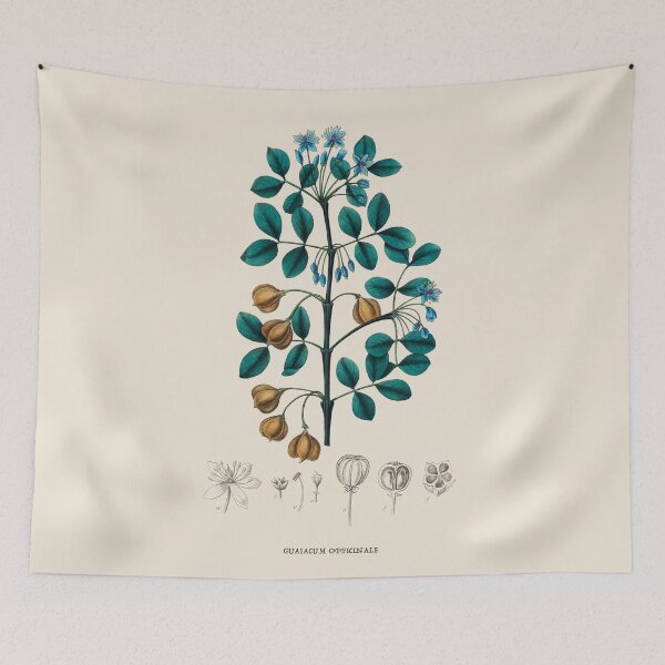 Item preview, Guaiacwood Antique Botanical Illustration designed and sold by Antiquated Art.
