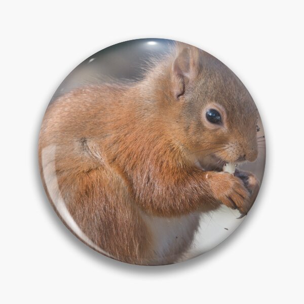 Item preview, Red Squirrel Lossiemouth designed and sold by Derren Jones.