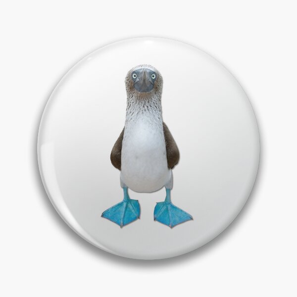 Item preview, Blue Footed Booby designed and sold by eskaystudios.
