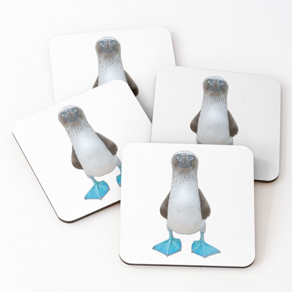 Item preview, Blue Footed Booby designed and sold by eskaystudios.