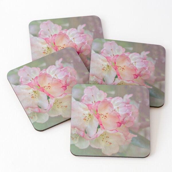 Item preview, Pink and white rhododendron designed and sold by RungSummerhouse.