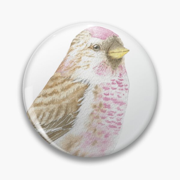 Item preview,  Arctic redpoll bird portrait watercolor designed and sold by L'Atelier Oranjade.