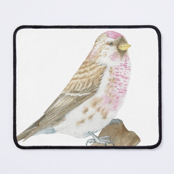 Item preview,  Arctic redpoll bird portrait watercolor designed and sold by L'Atelier Oranjade.