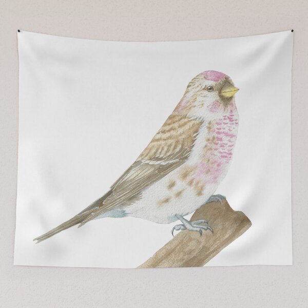 Item preview,  Arctic redpoll bird portrait watercolor designed and sold by L'Atelier Oranjade.