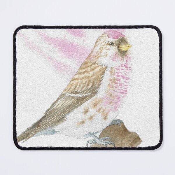 Item preview, Arctic redpoll bird portrait watercolor v2 designed and sold by L'Atelier Oranjade.