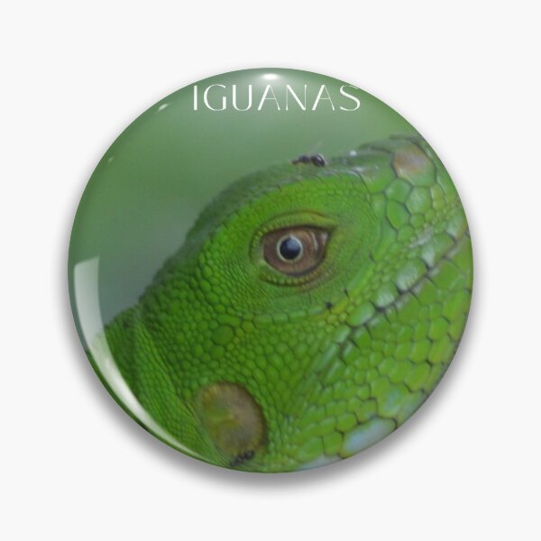 Item preview, Love Iguanas designed and sold by Olivia Tatara.