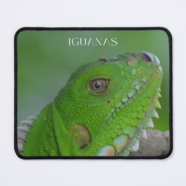 Item preview, Love Iguanas designed and sold by Olivia Tatara.