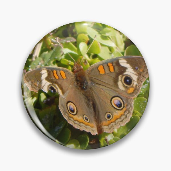 Item preview, Battered But Still Beautiful designed and sold by gistinker.
