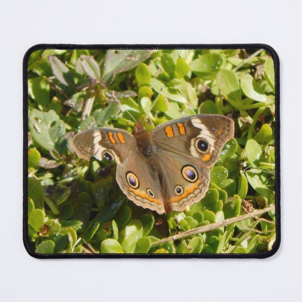 Item preview, Battered But Still Beautiful designed and sold by gistinker.